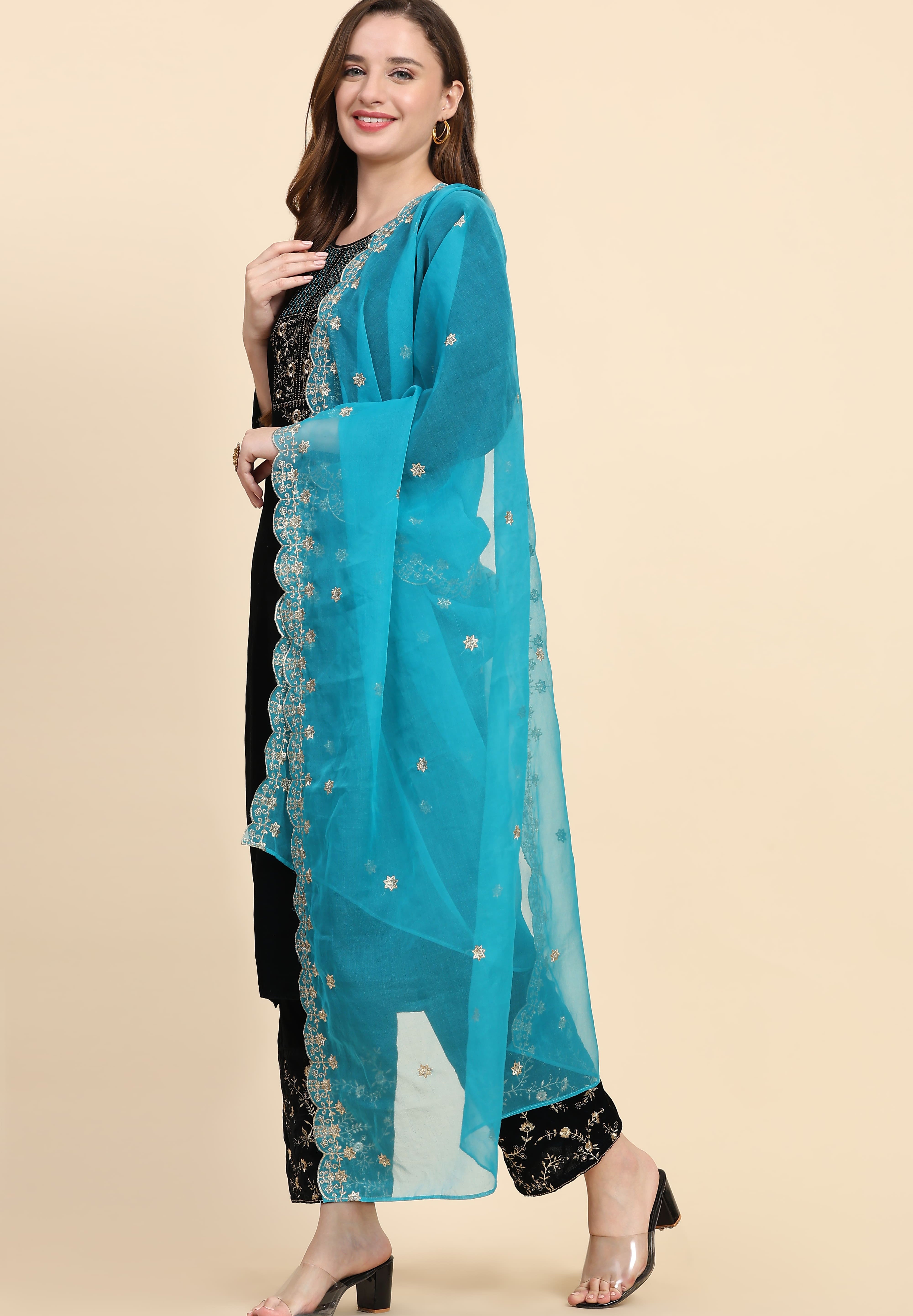 Blue Velvet Embroidery Salwar Suit Set with Dupatta For Women's Trendmallsin